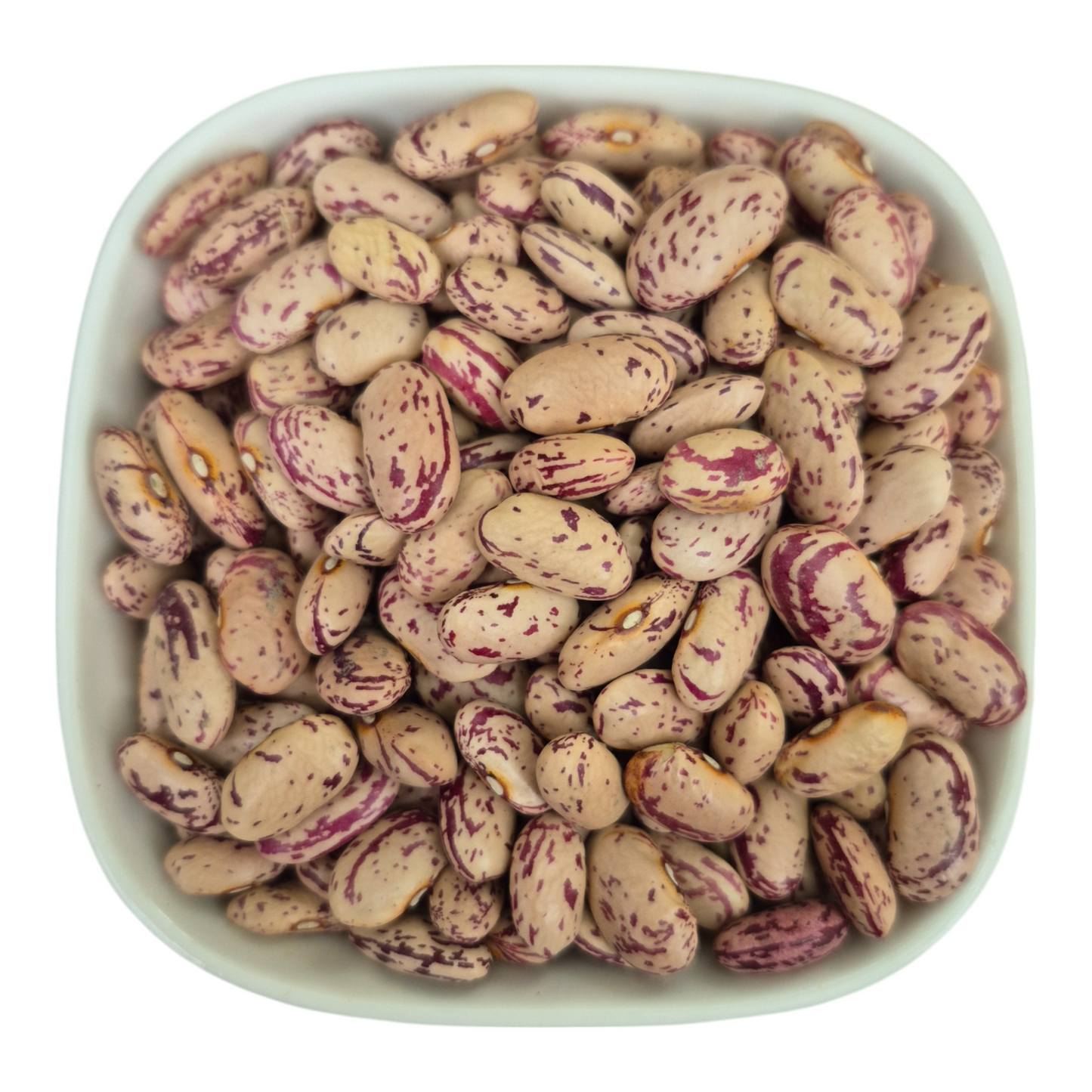 Beans Red, White, Pink, Black-eyed, Mung – Natural Organic Premium-quality