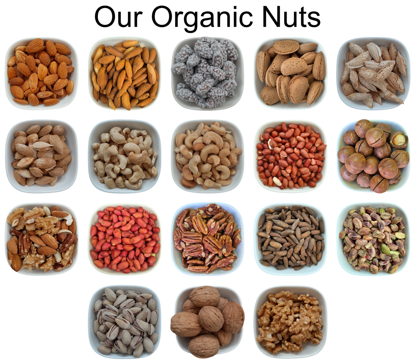 Extra Large Dried Figs (Anjeer) – Natural Organic Premium-quality + Free sample!