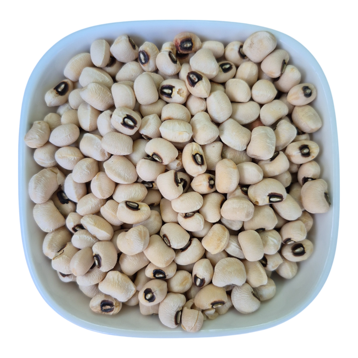 Beans Red, White, Pink, Black-eyed, Mung – Natural Organic Premium-quality